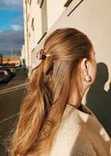 Lade das Bild in den Galerie-Viewer, Dackel