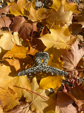 Lade das Bild in den Galerie-Viewer, Gloria Dotty