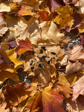 Lade das Bild in den Galerie-Viewer, Wavie Leo