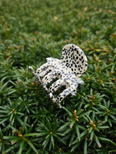 Lade das Bild in den Galerie-Viewer, Stella Dotty