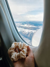 Lade das Bild in den Galerie-Viewer, Pampas grass
