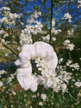 Lade das Bild in den Galerie-Viewer, April
