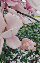 Lade das Bild in den Galerie-Viewer, Flower Bride
