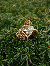 Lade das Bild in den Galerie-Viewer, Octie Brownie
