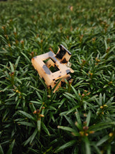 Lade das Bild in den Galerie-Viewer, Lili Leo
