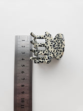 Lade das Bild in den Galerie-Viewer, Stella Dotty
