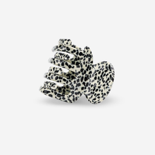 Lade das Bild in den Galerie-Viewer, Stella Dotty
