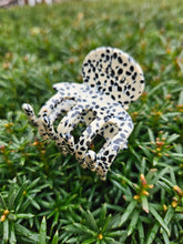 Lade das Bild in den Galerie-Viewer, Stella Dotty
